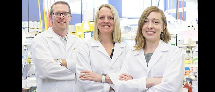 Dr. Andrea Kasinski - Rising Scientist at Purdue Center for Cancer Research